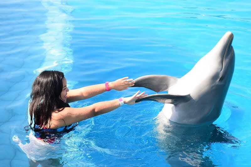 Akumal: Dolphin Encounter - How this compares to other Akumal options