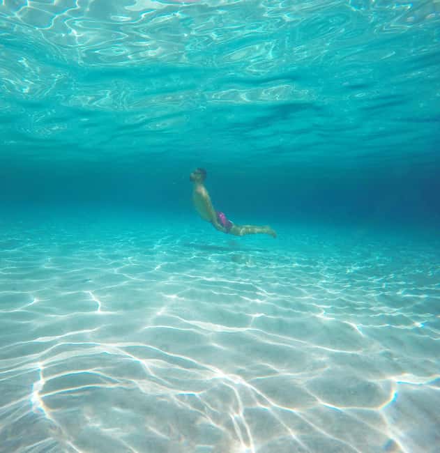 Akumal: Snorkel with Marine Fauna and an Expert Guide - Price and value: is $45 worth it?