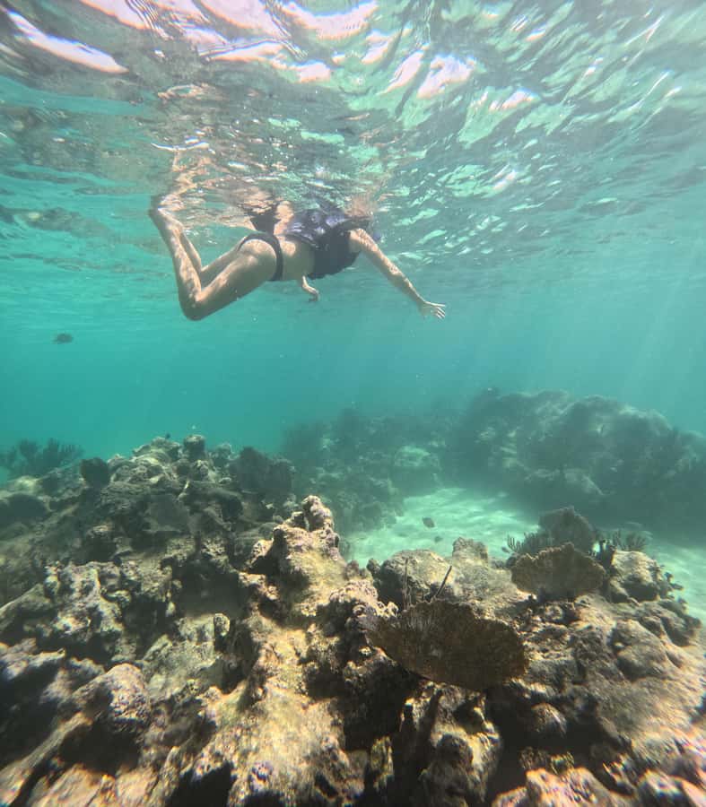 Akumal: Swim with Sea Turtles and Coral Reefs. - Finding Akumal Mayan Trips and Getting to the Water