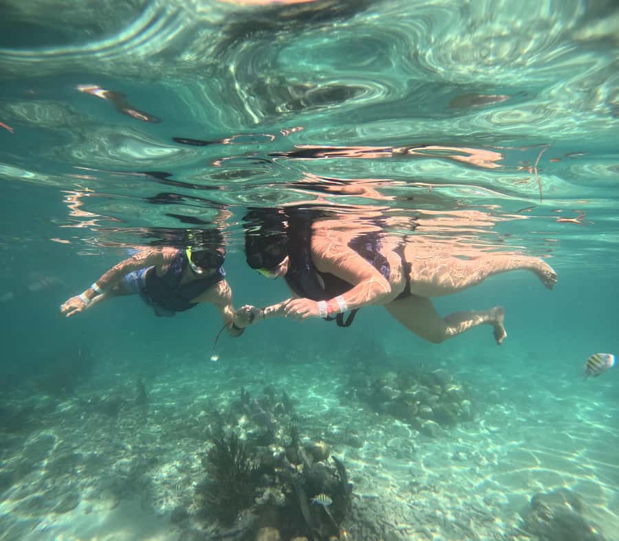 Akumal: Swim with Sea Turtles and Coral Reefs. - The Short Walk Into Tsuuk Akumal Natural Park