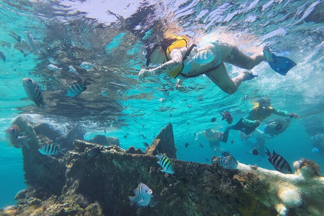 All-Inclusive Isla Mujeres Catamaran with Free Transportation - Downtown Isla Mujeres free time and the tequila tasting bonus