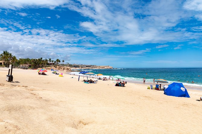 Arch Views & Snorkeling Paradise at Chileno Beach Private tour - Why the Arch Views + Chileno snorkeling combo makes sense