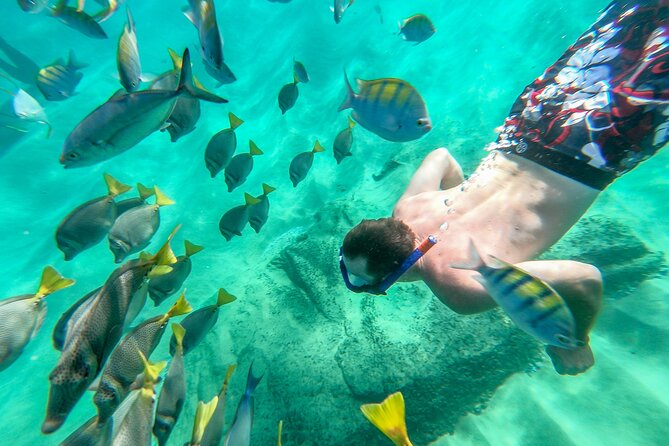 Arch Views & Snorkeling Paradise at Chileno Beach Private tour - Price and value: is $125 really a good deal for Cabo?