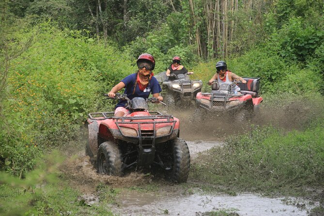 ATV OR RZR- Escape to the mountains for 4 hours - Meeting Point and Setup: Where You Start and What You Get