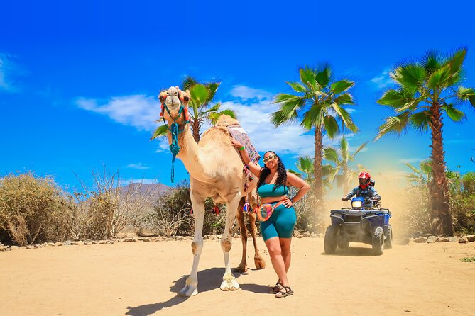 ATV Tour, Camel Ride, Tequila Tasting and Mexican Buffet Lunch - Key things I’d zero in on first