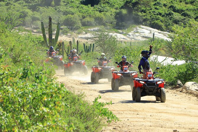 ATV Tour, Camel Ride, Tequila Tasting and Mexican Buffet Lunch - ATV, Camels, Tequila, Lunch: What Makes This Cabo Combo Work