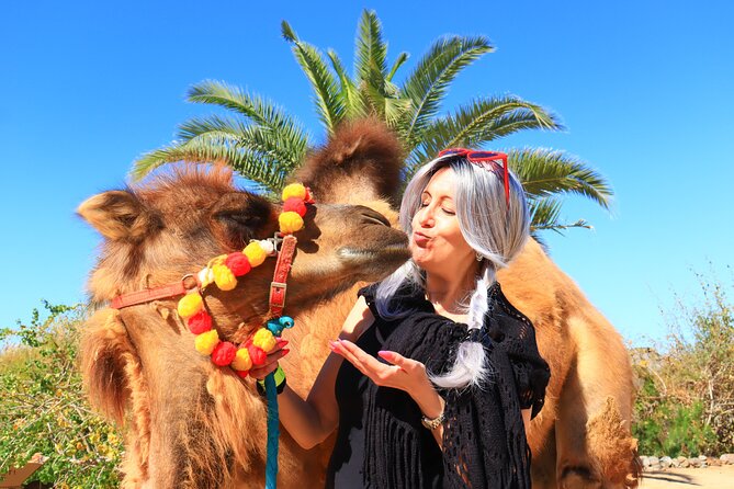 ATV Tour, Camel Ride, Tequila Tasting and Mexican Buffet Lunch - Pickup Timing and Driver Requirements: Make Your Morning Easy