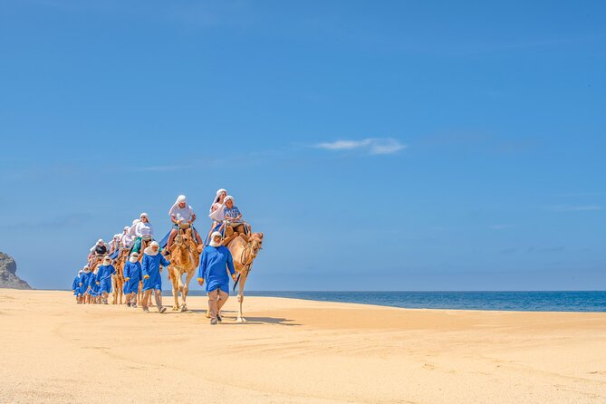 ATV Tour, Camel Ride, Tequila Tasting and Mexican Buffet Lunch - Tips to Get More From the Day (Without Overthinking It)