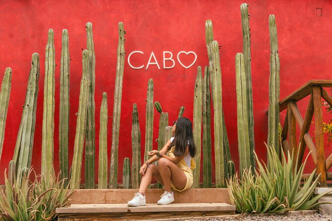 ATV Tour, Camel Ride, Tequila Tasting and Mexican Buffet Lunch - Price and Logistics Reality Check: What You Really Pay