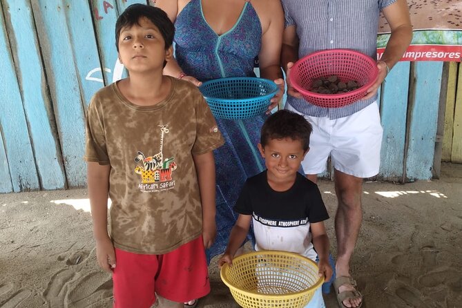 Baby Sea Turtle Releasing Sightseeing Tour with Luis de la Maza - The Nest-to-Sand Workflow: Seeing Hatching, Holding Hatchlings, and Releasing Them