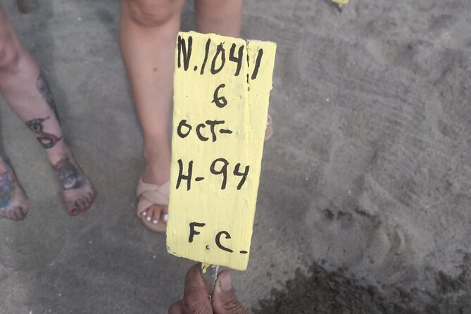 Baby Sea Turtle Releasing Sightseeing Tour with Luis de la Maza - Getting Picked Up at Your Hotel and Riding South Like a Local