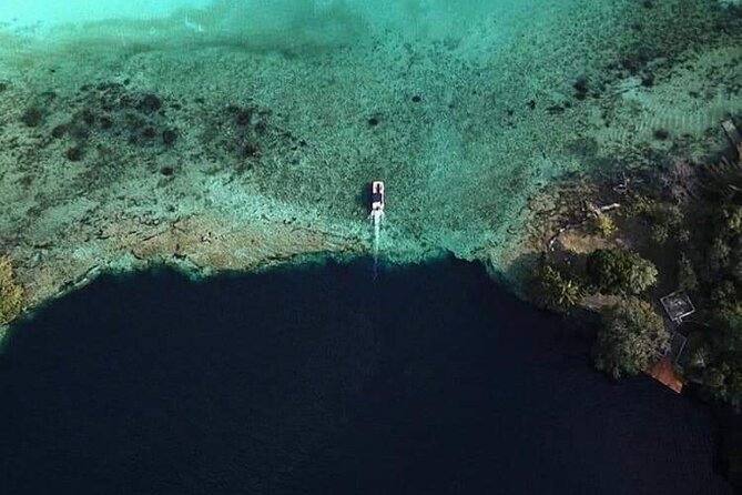 Bacalar 101- Private Tour of the Lagoon of the 7 Colors - Island of birds: nature time between swim stops