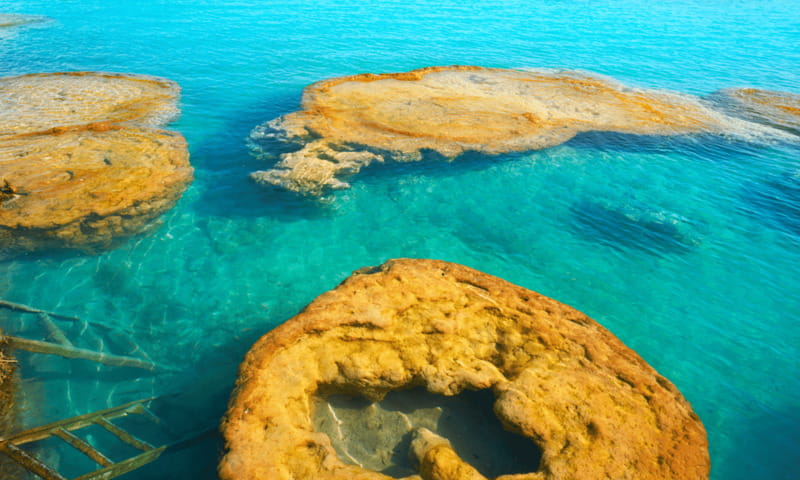 Bacalar: Lagoon, Pirate Canal, Stromatolite Day Trip w/Lunch - Stromatolite sanctuary visit: the science stop that changes how you see it