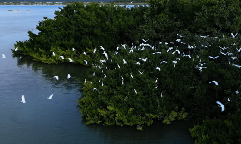 Bacalar: Lagoon, Pirate Canal, Stromatolite Day Trip w/Lunch - San Felipe Fort: why the history stop makes the day feel complete