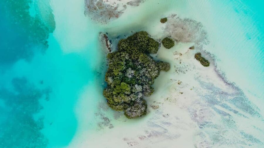 Bacalar Lagoon Sailing Tour with Open Bar and Mexican Lunch - Crew and group vibe, why hosts like Omar and Amir get so many good marks