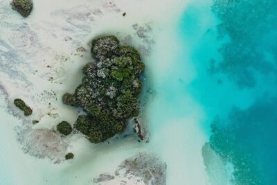 Bacalar Lagoon Sightseeing Boat Tour with Open Bar and Snacks