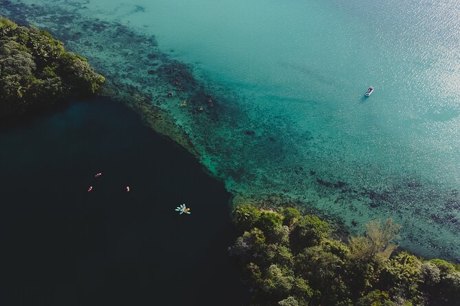 Bacalar Lagoon Sightseeing Boat Tour with Open Bar and Snacks - Open Bar and Snacks: Real Value, Not Just a Marketing Line
