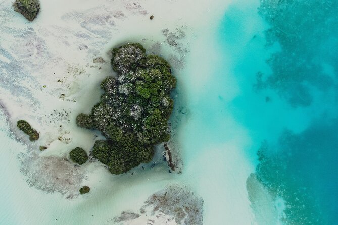 Bacalar Lagoon Sightseeing Boat Tour with Open Bar and Snacks - Pirates’ Channel Swim Stop, Mangroves, and First-Thing Color
