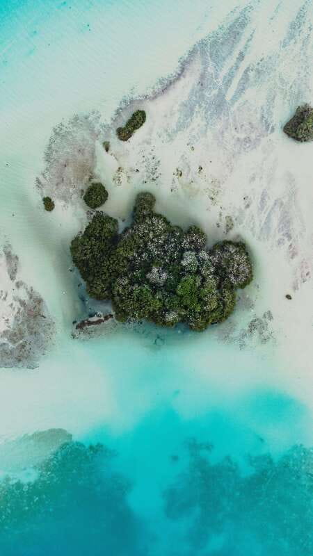 Bacalar Lagoon Sightseeing Boat Tour with Open Bar & Snack - Open bar, fruit snacks, and the boat vibe you should expect