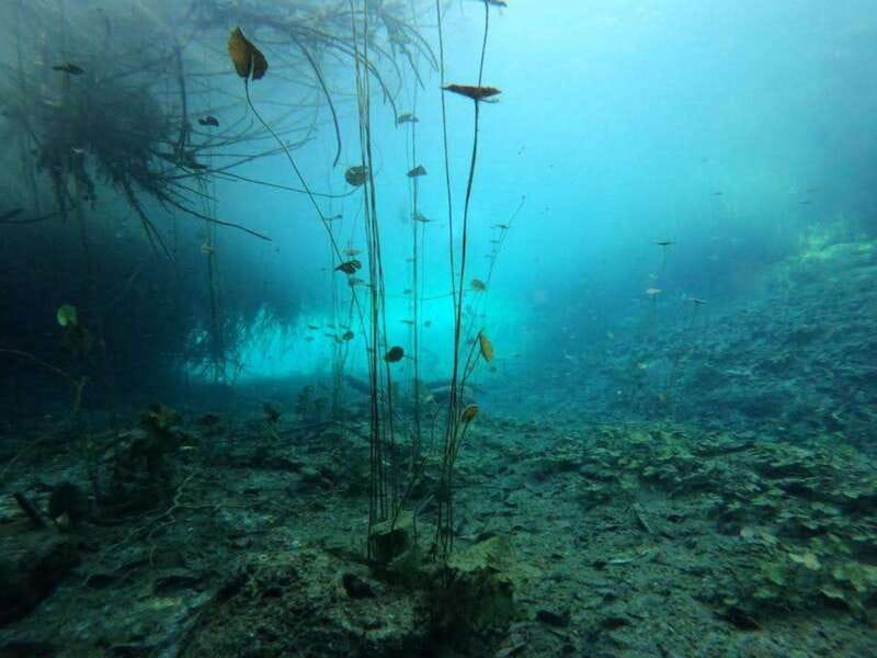 Bacalar: Magnificent Bacalar Lagoon Exclusive Boat Tour - Snorkeling with a guide, not just equipment in your hands