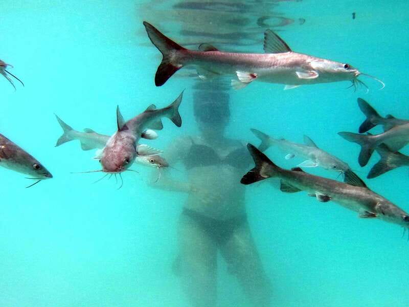 Bacalar: Magnificent Bacalar Lagoon Exclusive Boat Tour - Islands and ecosystems: Bird Island, Breeding Island, and Emerald Island