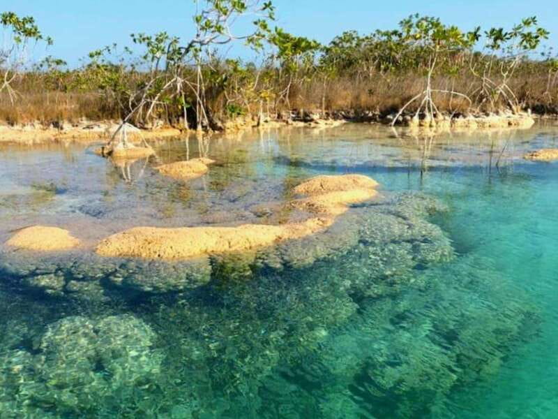 Bacalar: Magnificent Bacalar Lagoon Exclusive Boat Tour - Meeting point, timing, and what to do before you step on the boat