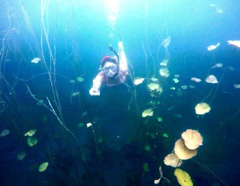 Bacalar: Magnificent Bacalar Lagoon Exclusive Boat Tour - Price and logistics: what to compare before you book