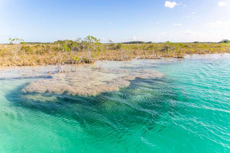Bacalar: Private Sailboat Tour with Lagoon Swimming - Stromatolites and corals’ ancestors: the lesson that changes how you swim