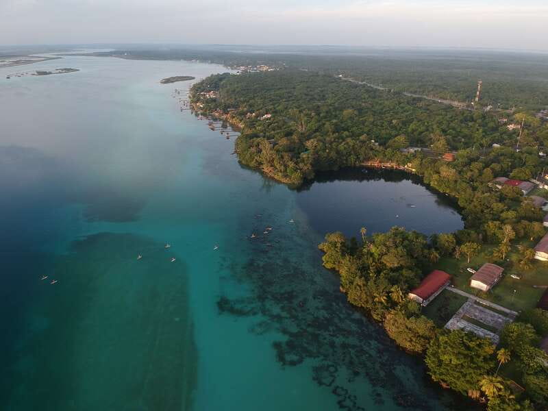 Bacalar Sunrise Stand Up Paddleboard: A Unique Experience - Flora, Fauna, and Listening Breaks You Can Do Without Trying