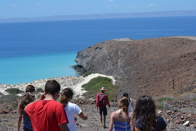 Balandra & Tecolote: hike, kayak and snorkel in paradise - Tecolote Beach Lunch And Rest: Ceviche On The Sand, Then A Downshift