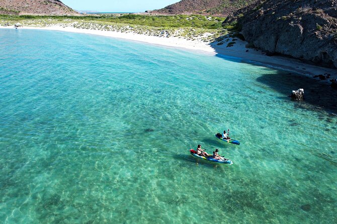 Balandra & Tecolote: hike, kayak and snorkel in paradise - Snorkeling In Balandra: Rocky Reef, Lots Of Fish, And Cold Water Reality