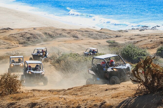 Beach and Desert UTV Tour in Cabo - Timing, Crowds, and the Busy Facility Reality