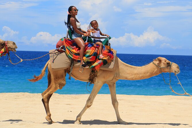 Beach, ATV, and Camel Ride Combo Tour - ATV Meets Camel on the Migriño Dunes (What Makes This Cabo Combo Special)