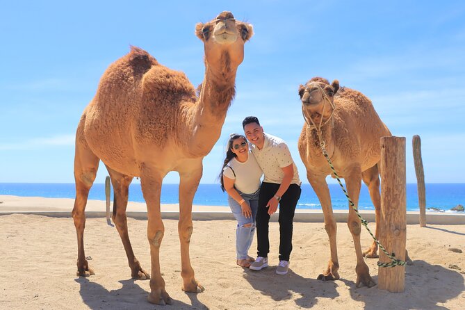 Beach, ATV, and Camel Ride Combo Tour - How The 4-Hour Flow Really Feels From Pickup to Tequila