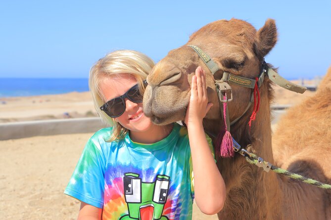 Beach Camel Ride and Encounter in Cabo - Quick Take: What This Camel Tour Gets Right