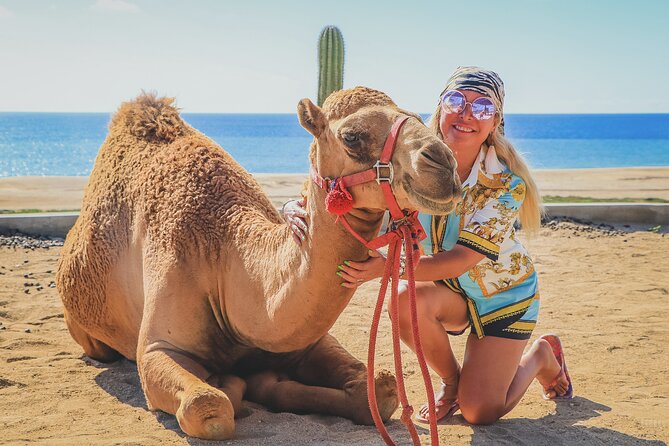 Beach Camel Ride and Encounter in Cabo - The Actual Camel Ride on the Beach: What You Can Expect
