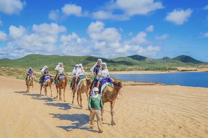 Beach Camel Ride and Encounter in Cabo - Souvenir Photos and Cell Phone Reality: Plan Like a Pro