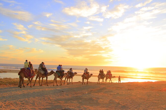 Beach Camel Ride and Encounter in Cabo - Who This Tour Fits Best (and Who Should Skip)