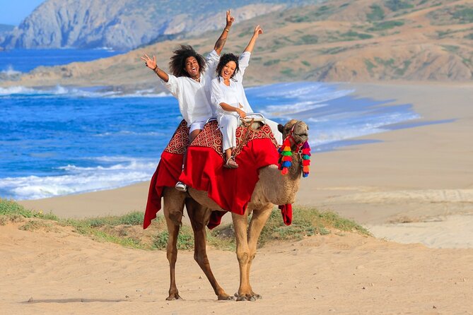 Beach Camel Ride and Encounter in Cabo - Price and Value: The $71.25 Ticket vs. What You May Still Pay