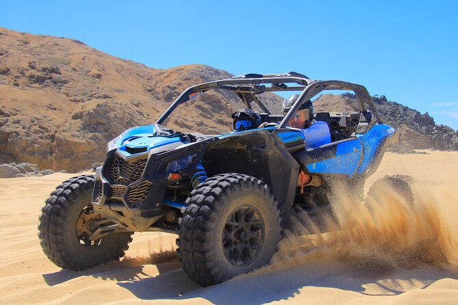 Beach Camel Ride and Sky Bike in Cabo - Group size, guide energy, and what kind of day it is