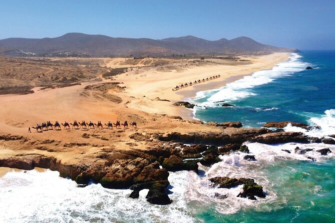 Beach CAN-AM SXS X3 and Camel Ride in Cabo - Food, refreshments, and tequila tasting: the calm reward after the ride