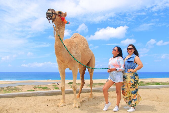 Beach CAN-AM SXS X3 and Camel Ride in Cabo - Final verdict: should you book Beach CAN-AM SXS X3 and Camel Ride in Cabo?