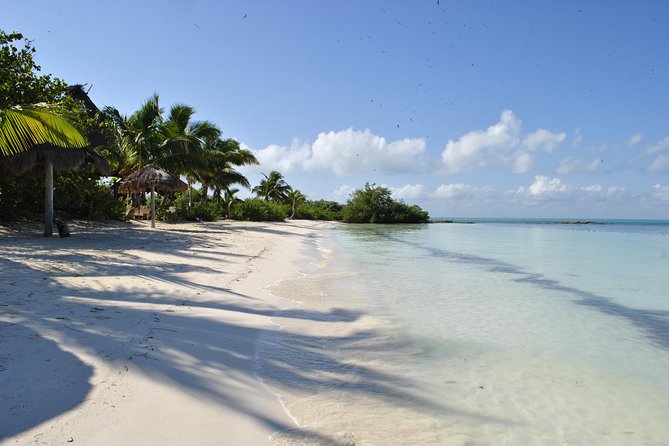 Beach Escape: Isla Contoy and Isla Mujeres with Snorkeling. - Price, value, and the $20 reserve fee you must plan for