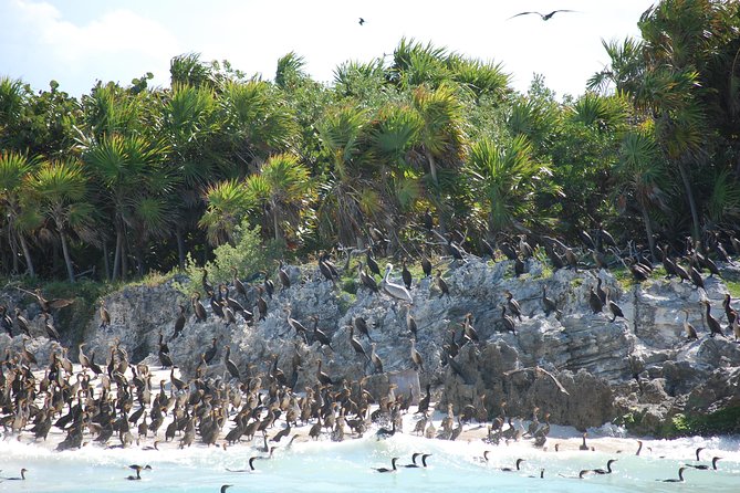 Beach Escape: Isla Contoy and Isla Mujeres with Snorkeling. - The guided walk, museum, lagoon, and observation tower