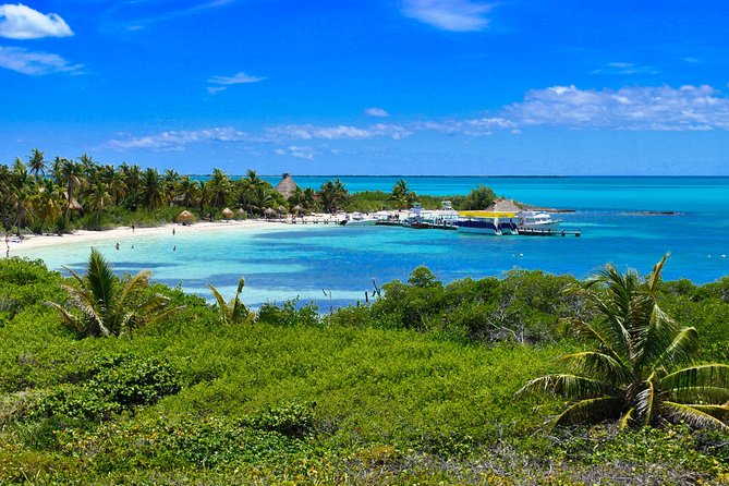 Beach Escape: Isla Contoy and Isla Mujeres with Snorkeling. - Pickup at 6:00 am, and why timing feels like the hidden cost