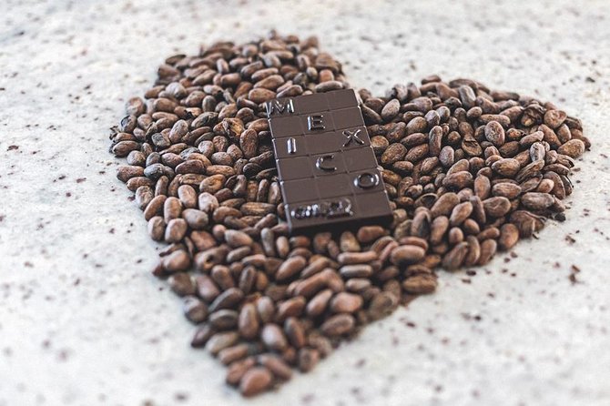 Bean to Bar Chocolate Workshop in Puerto Vallarta - Price and value: about $62.90 for a take-home chocolate skill
