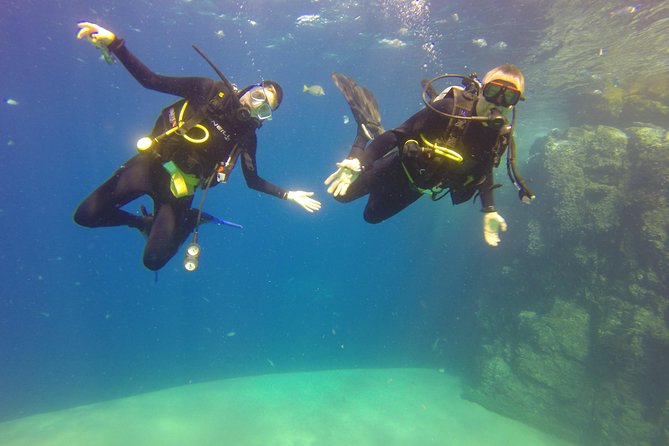 Beginner Scuba Diving in Cabo San Lucas - Check-in, forms, and getting your kit to fit right