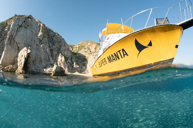 Beginner Scuba Diving in Cabo San Lucas - Stop 1: The Manta-themed water area and what you’re likely to see