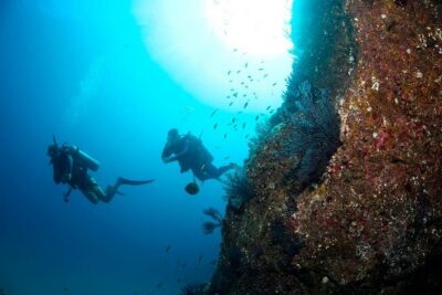 Beginner Scuba Diving in Cabo San Lucas