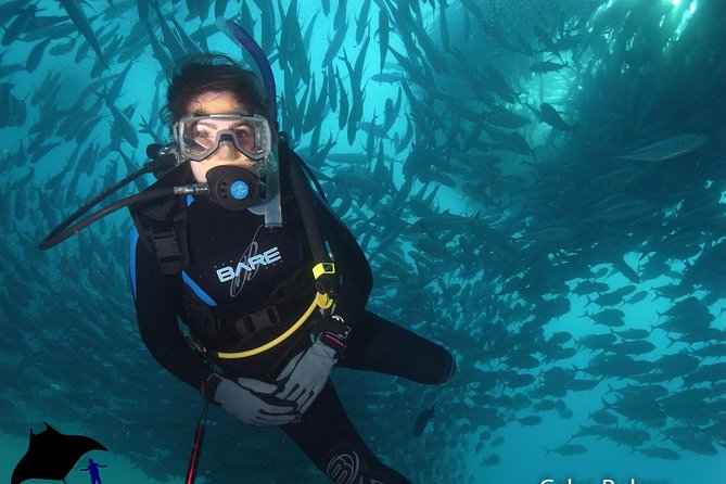 Beginner Scuba Diving in Cabo San Lucas - Real-world tips for comfort, ears, and camera moments